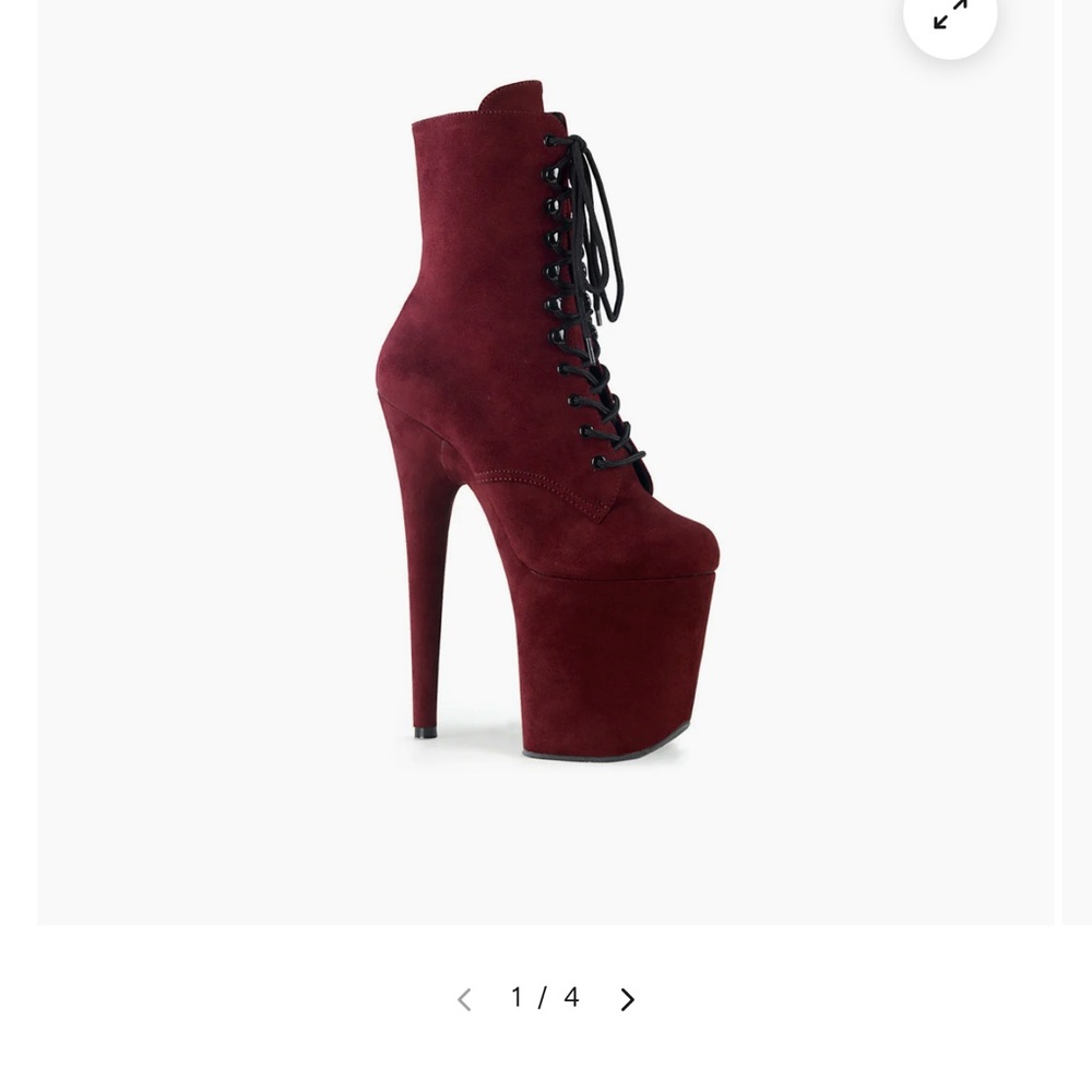 Pleaser Burgundy heels